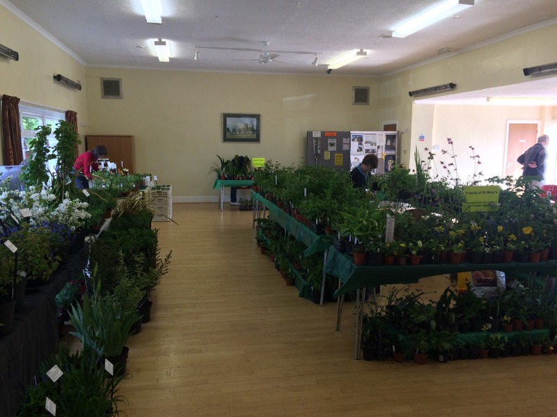 SMB: Plant Sale